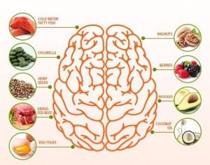 أطعمة لتقوية صحة الدماغ