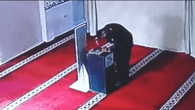 لص يتظاهر بالصلاة لسرقة مسجد