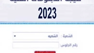 نتيجة الدبلومات الفنية