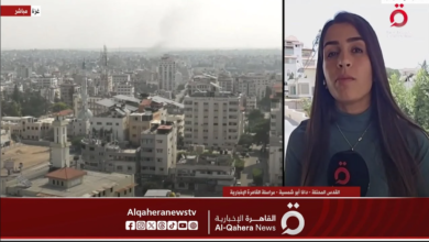 من هي دانا أبو شمسية مراسلة قناة القاهرة الإخبارية في فلسطين