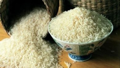 سعر الأرز