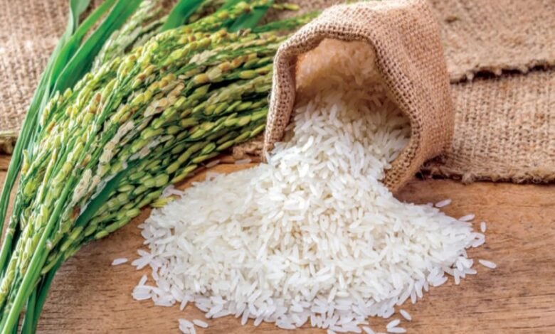 سعر الأرز