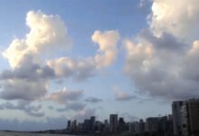 صورة توضيحية