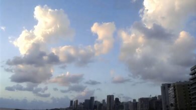 صورة توضيحية