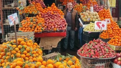 صورة توضيحية للخضروات والفاكهة