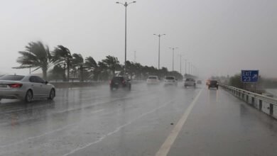 صورة توضيحية