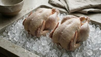 سعر الفراخ اليوم