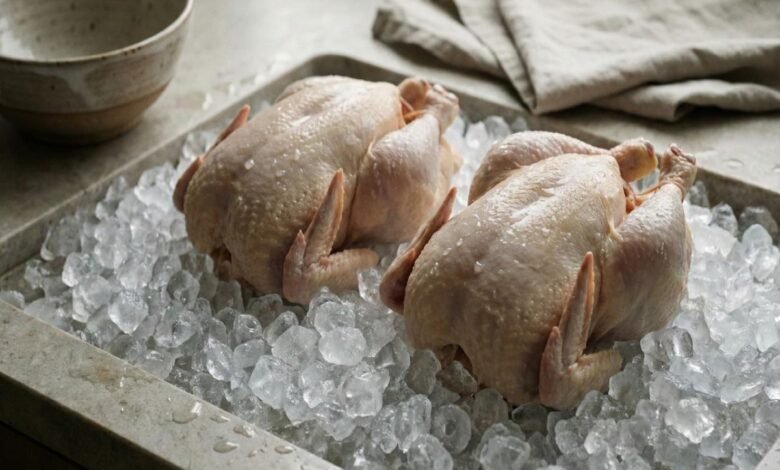 سعر الفراخ اليوم