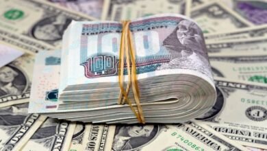 صورة توضح سعر الدولار